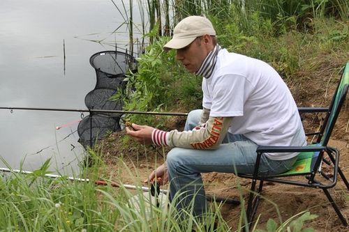 Najlepiej brały karasie - galeria