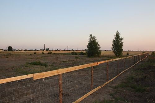 Wszystko idzie zgodnie z planem - zdjęcia
