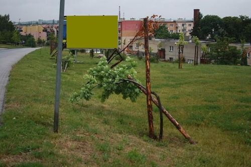 Siła i rozum wandala - zdjęcia