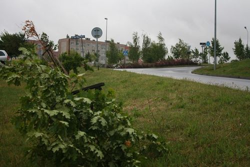 Siła i rozum wandala - zdjęcia