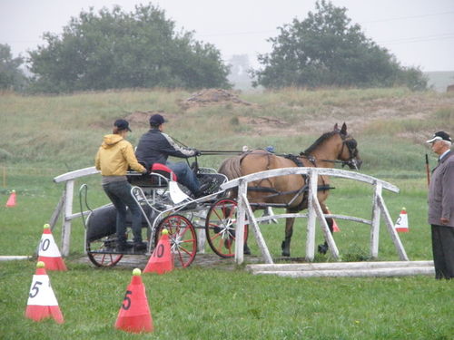 Nie narzekali na deszcz  - fotorelacja