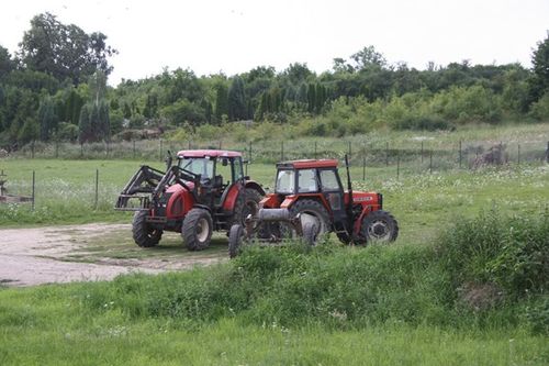 Kilka ton zboża na środku drogi - zdjęcia