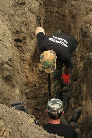 Wykopali osiem ludzkich szkieletów - zdjęcia
