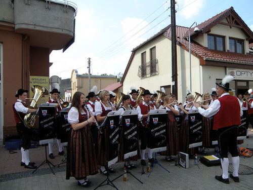 Zagrali dla mieszkańców Powiatu - zdjęcia