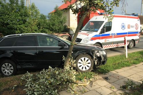 Wymuszenie z grzeczności - zdjęcia