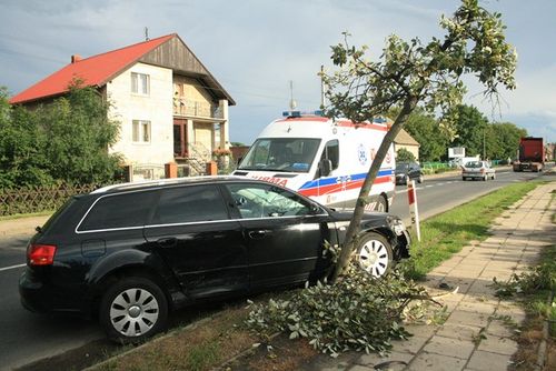 Wymuszenie z grzeczności - zdjęcia