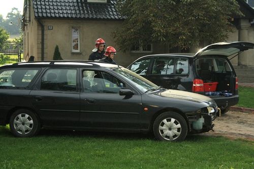 Wymuszenie z grzeczności - zdjęcia