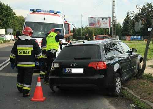 Wymuszenie z grzeczności - zdjęcia