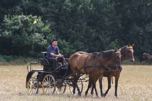 Cztery pieczenie przy jednym ogniu - fotorelacja