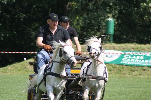 Cztery pieczenie przy jednym ogniu - fotorelacja