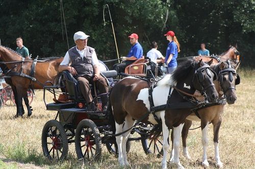 Cztery pieczenie przy jednym ogniu - fotorelacja