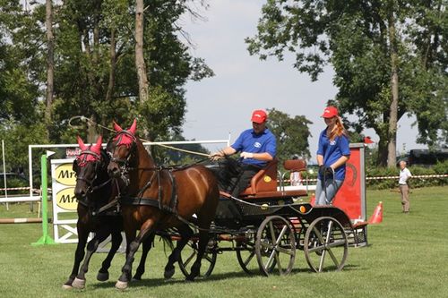 Cztery pieczenie przy jednym ogniu - fotorelacja