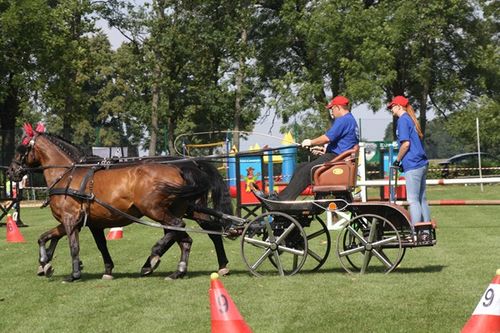 Cztery pieczenie przy jednym ogniu - fotorelacja
