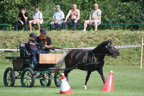 Cztery pieczenie przy jednym ogniu - fotorelacja