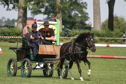 Cztery pieczenie przy jednym ogniu - fotorelacja