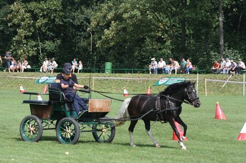 Cztery pieczenie przy jednym ogniu - fotorelacja