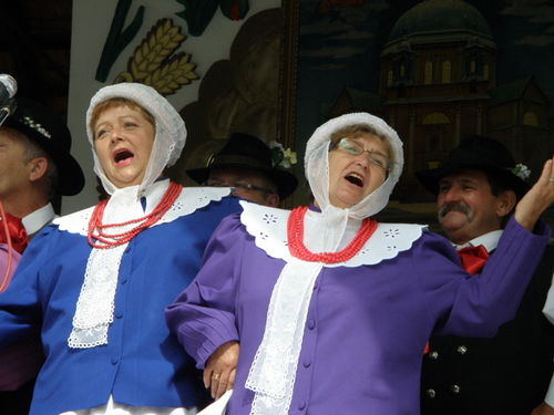Tłumy na powiatowych dożynkach - zdjęcia