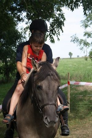 Nie obyło się bez przeszkód - fotorelacja