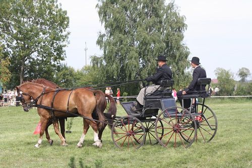 Nie obyło się bez przeszkód - fotorelacja