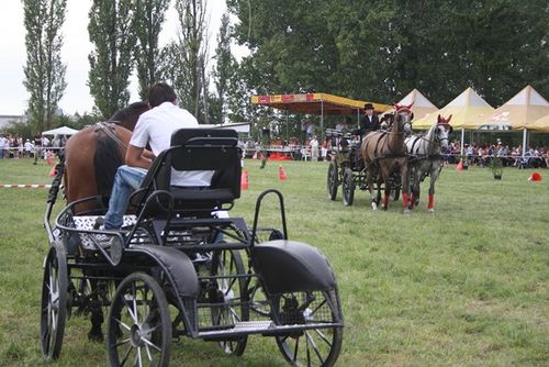 Nie obyło się bez przeszkód - fotorelacja