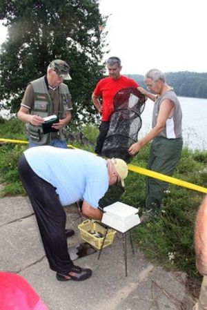 Nie dali szans rywalom - zdjęcia