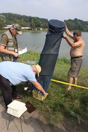 Nie dali szans rywalom - zdjęcia