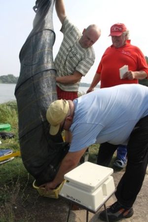 Nie dali szans rywalom - zdjęcia