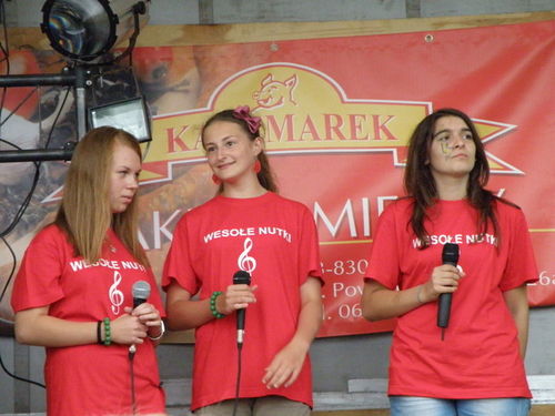 Coroczny piknik zepsuła pogoda - galeria