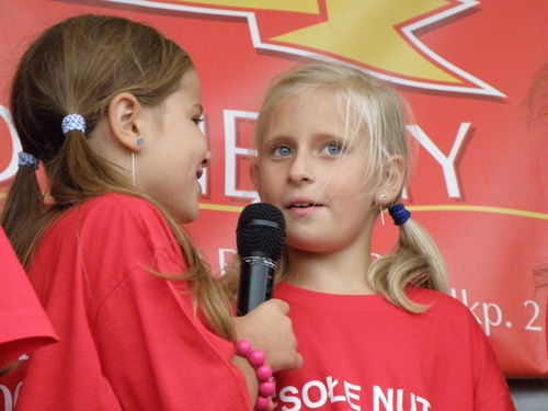 Coroczny piknik zepsuła pogoda - galeria