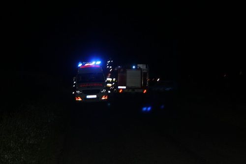 A potem schowali się w kukurydzy - zdjęcia