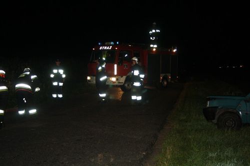 A potem schowali się w kukurydzy - zdjęcia