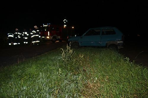 A potem schowali się w kukurydzy - zdjęcia