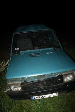 A potem schowali się w kukurydzy - zdjęcia