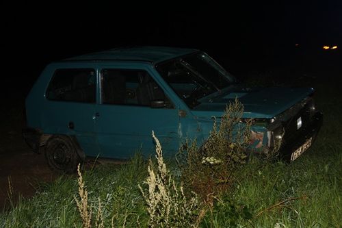 A potem schowali się w kukurydzy - zdjęcia