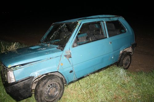 A potem schowali się w kukurydzy - zdjęcia