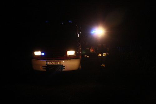 A potem schowali się w kukurydzy - zdjęcia