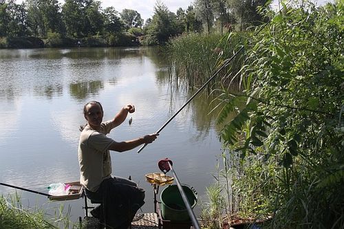 Karpie nie dały się złowić - zdjęcia