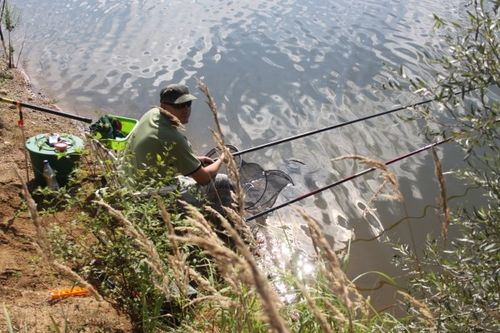 Karpie nie dały się złowić - zdjęcia