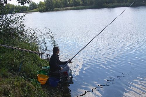 Karpie nie dały się złowić - zdjęcia