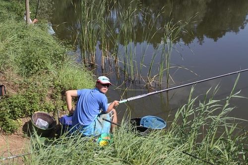 Karpie nie dały się złowić - zdjęcia