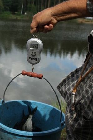 Karpie nie dały się złowić - zdjęcia