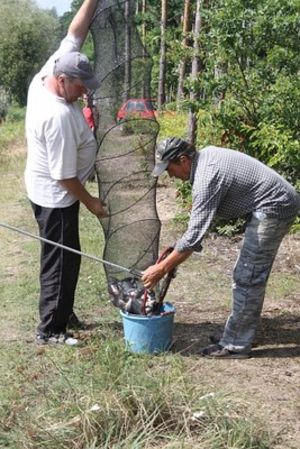 Karpie nie dały się złowić - zdjęcia