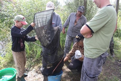 Karpie nie dały się złowić - zdjęcia