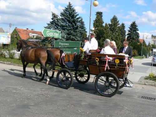 Tradycji stało się za dość - zdjęcia