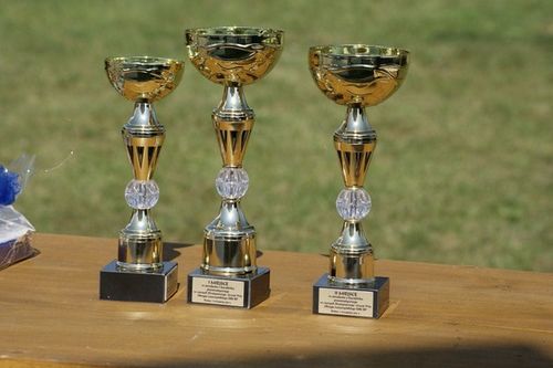 Poświęcili sztandar i wybrali króla - galeria