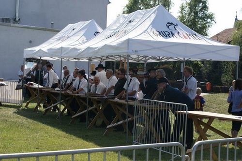 Poświęcili sztandar i wybrali króla - galeria