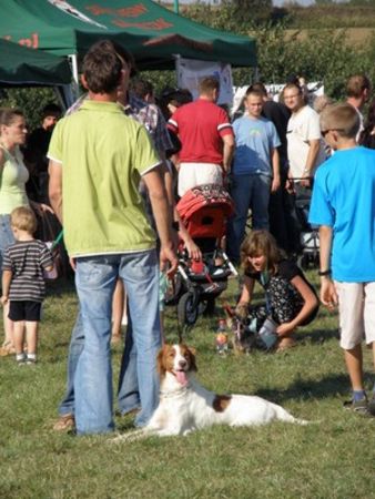 Dumni ze swoich zwierzaków - fotorelacja