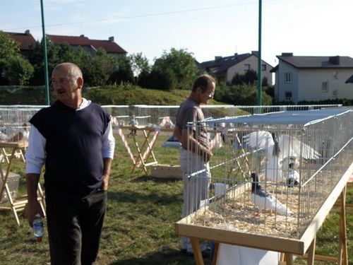 Dumni ze swoich zwierzaków - fotorelacja