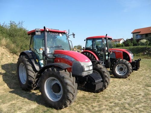 Dumni ze swoich zwierzaków - fotorelacja