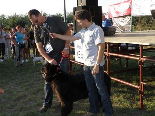 Dumni ze swoich zwierzaków - fotorelacja